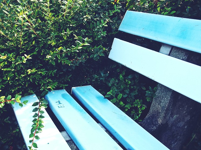 游客以及本 游客以及本